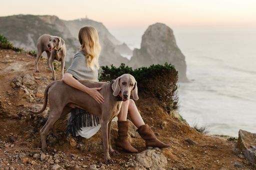A closeup shot of a young female with two Weimaraner dogs on a seashore