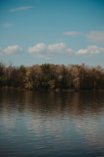 A vertical shot of a calm lake near a forest on the shore