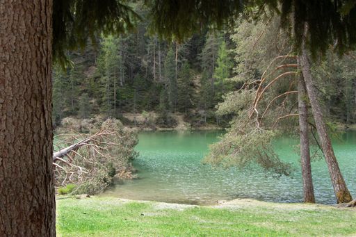 A beautiful scenery of a lake surrounded by fir trees with high rocky mountains in the background