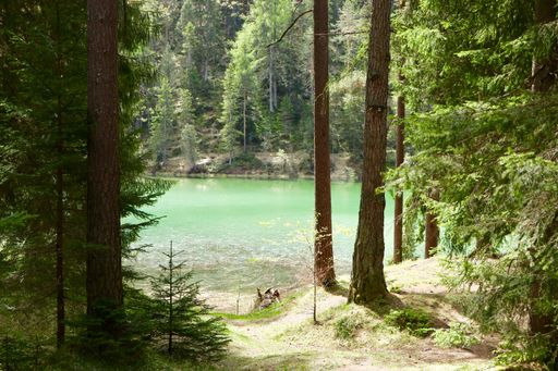 A beautiful scenery of a lake surrounded by fir trees with high rocky mountains in the background