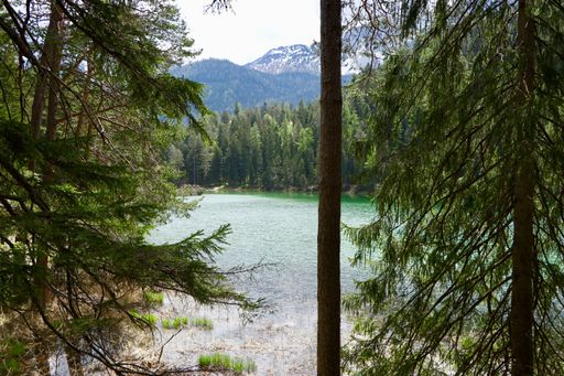 A beautiful scenery of a lake surrounded by fir trees with high rocky mountains in the background