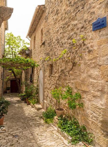A vintage cobblestone street lined with aged buildings, featuring a narrow pathway