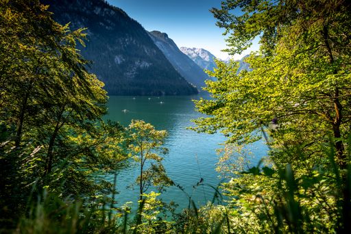 The Konigssee surrounded by hills covered in greenery under the sunlight in Germany