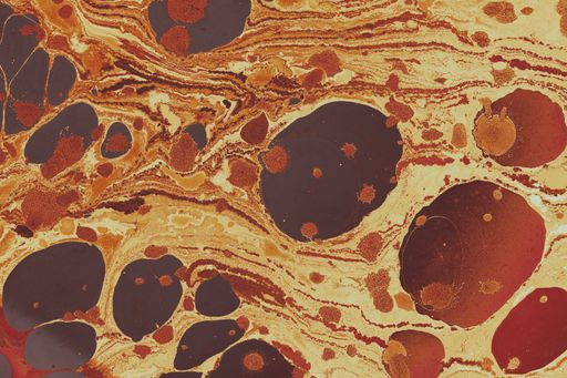 A beautiful oily painting with mixed colors - perfect for background or wallpaper