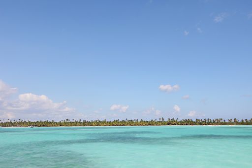 A beautiful shot of the peaceful sea surrounded by green trees under a clear blue sky