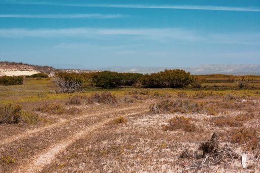 A closeup shot of an open field with dried grass in autumn with blue sky in the background