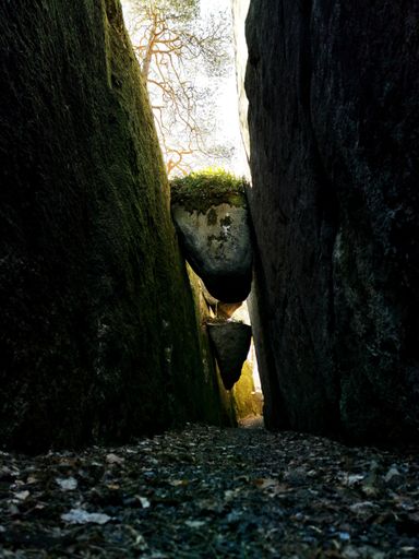 A vertical shot of a pathway in Grevens Vinkjeller Roligheten in Larvik, Norway