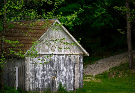 An old barn stands in a peaceful forest setting, surrounded by lush trees.