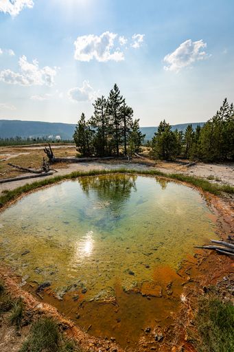A stunning image of Yellowstone National Park, featuring a peaceful lake surrounded by lush green trees