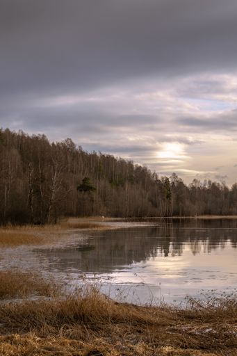 A vertical shot of a lake with a cloudy sunny sky in the background