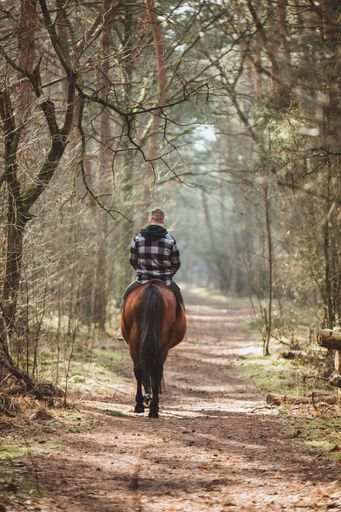 A vertical of a man riding a horse in a green forest on a sunny day