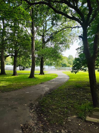 A scenic view of a path winding its way through a grassy park