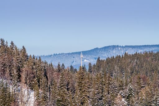 A high angle shot of a forested mountain with a clear blue sky in the background