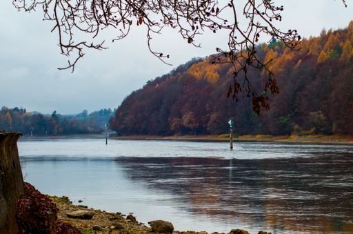 A scenic autumn lake by the forest with colorful foliage