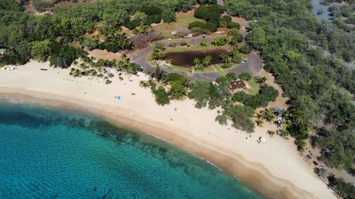 An aerial view of buildings on the green coastline against ocean waves