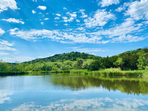 A tranquil pond in Dallas, Texas, located at the Cedar Ridge Preserve