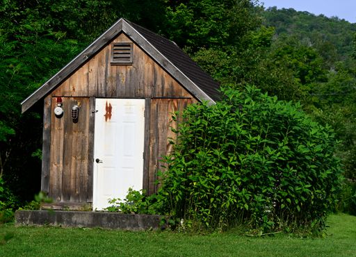 A wooden shed with a slanted roof is situated in a grassy yard, surrounded by tall trees with vibrant green foliage