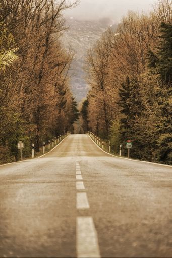 A vertical shot of an asphalt road with warning signs on a landscape background