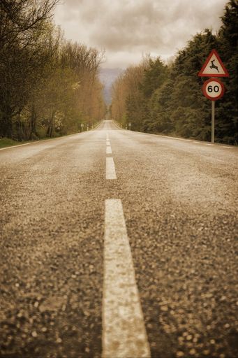 A vertical shot of an asphalt road with warning signs on a landscape background