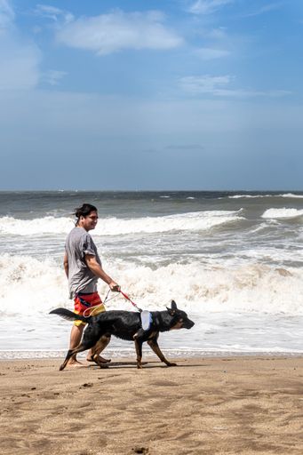 A vertical shot of a young Hispanic guy walking his dog on the beach in Gesell, Argentina