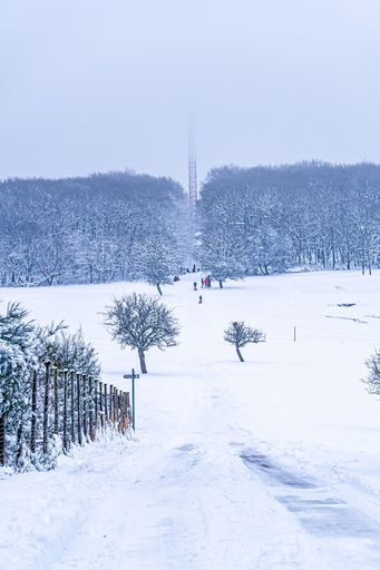 A group of people wearing a ski suit and helmet swiftly glides down a snowy mountain path on a sledge