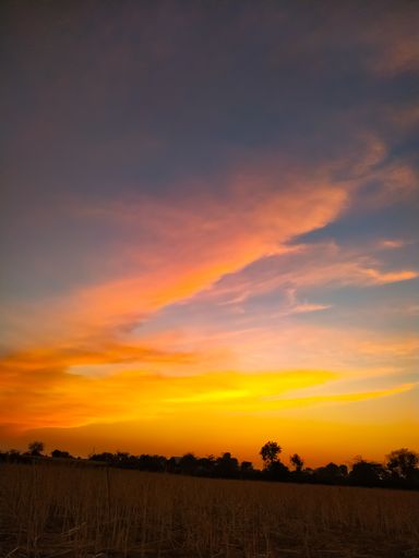 A vertical shot of a field under the gorgeous orange sunset sky