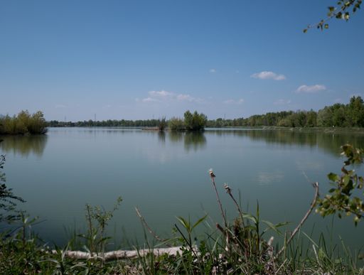 A beautiful view of a lake surrounded by greens and trees under the blue sky