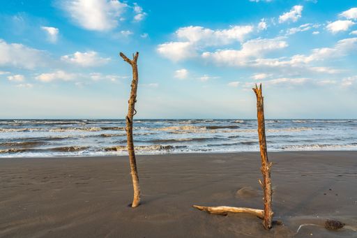 An idyllic scene of a beach shoreline, with logs of driftwood scattered on the golden sand
