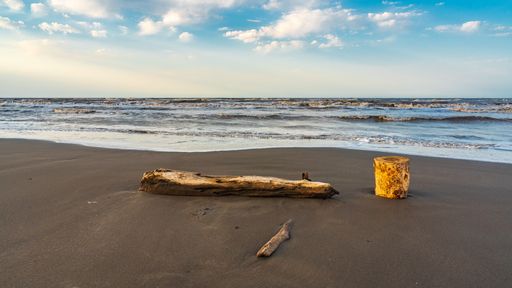 An idyllic scene of a beach shoreline, with logs of driftwood scattered on the golden sand