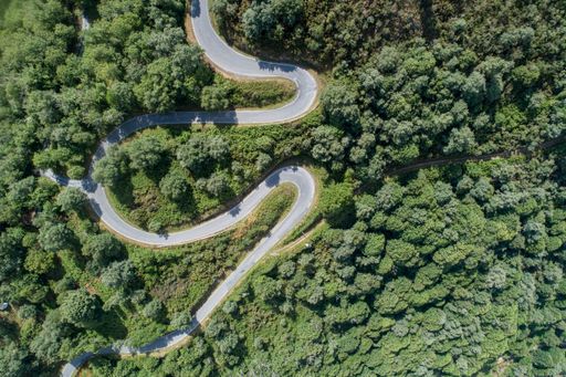 Top view of a mountain road with curves in a with oak forest