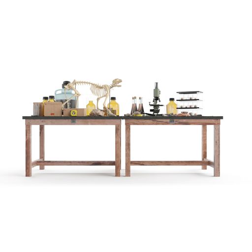 A science table with a variety of materials for use with a microscope