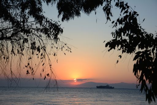 The beautiful view of the ship in the ocean during sunset with tree branches in the foreground
