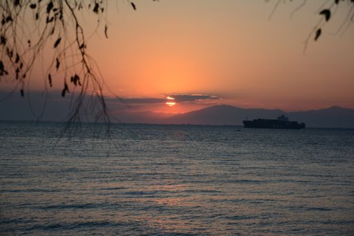 The mesmerizing view of the ship in the ocean during sunset with tree branches in the foreground