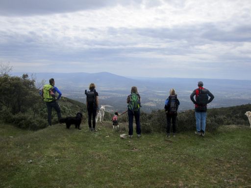 A group of young hikers on top of a mountain admiring the landscape view