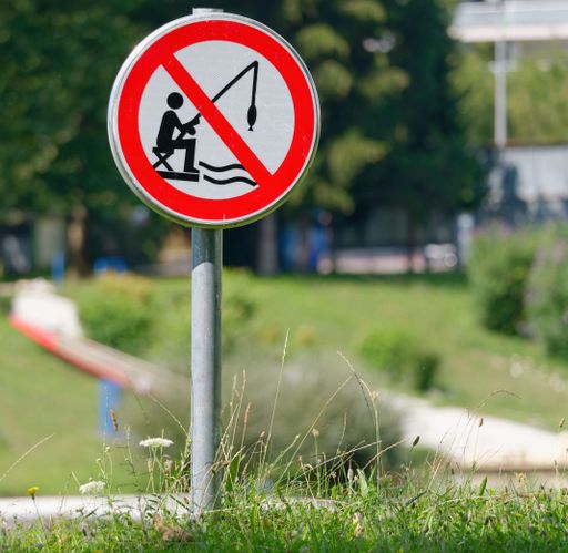 A sign of "No Fishing" on a green shrub