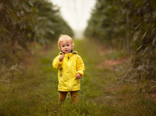 A dreamy shot of an adorable Caucasian toddler girl wearing a yellow raincoat in the middle of foliage