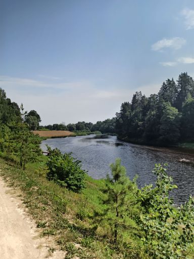 A scenic rural landscape featuring lush green trees and shrubs alongside a winding dirt road, leading to a tranquil lake