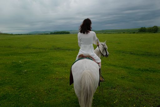 A young woman is riding a horse in an open field, gazing up at the clear blue sky