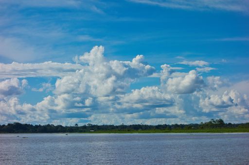 A scenic shot of a body of water surrounded by trees on a cloudy day
