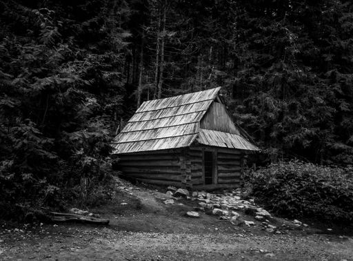 A wooden hut isolated in a forest, in grayscale
