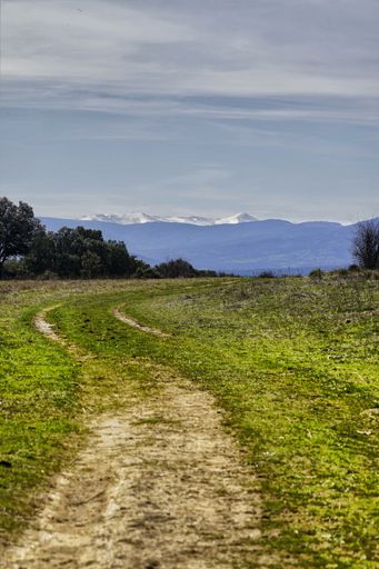 A vertical shot of a path through a grassy field with mountains in the background under a cloudy sky