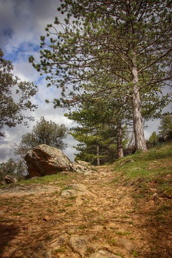 A vertical low angle shot of a narrow path through a field under a cloudy blue sky
