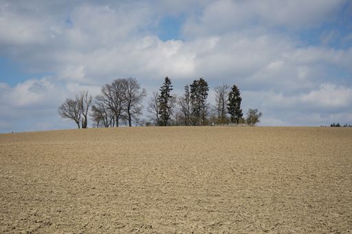 A closeup shot of agricultural land with a few trees and blue sky in the background