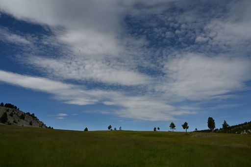 A picturesque landscape featuring a lush green field with trees in the background on a sunny day