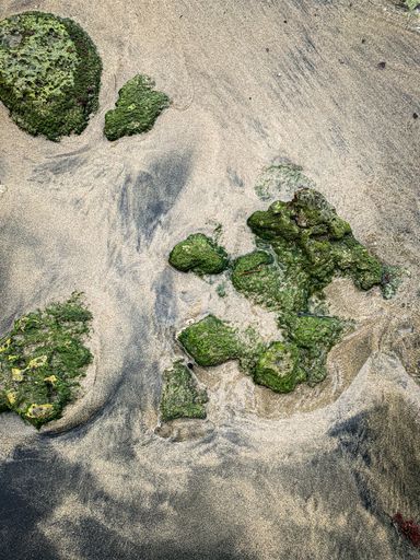 A top-view of the mossy rocks on the beach in Costa Rica