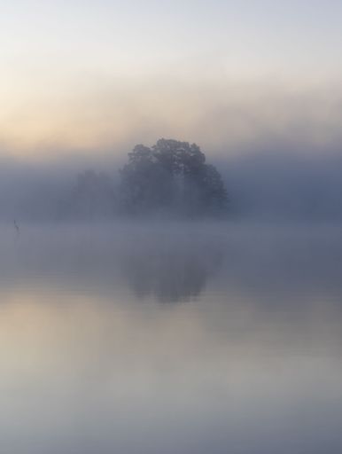 A misty lake tucked away in a forest, surrounded by lush green foliage.