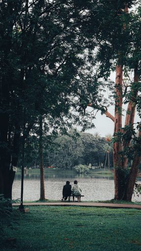 Two people enjoying a leisurely afternoon on a park bench, smiling and looking off into the distance