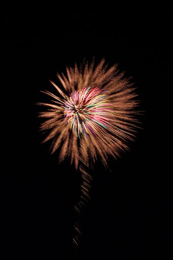 A scenic view of a vibrant, colorful firework in the night sky