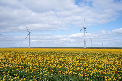 Wind turbines in a field of yellow tulips under a cloudy sky