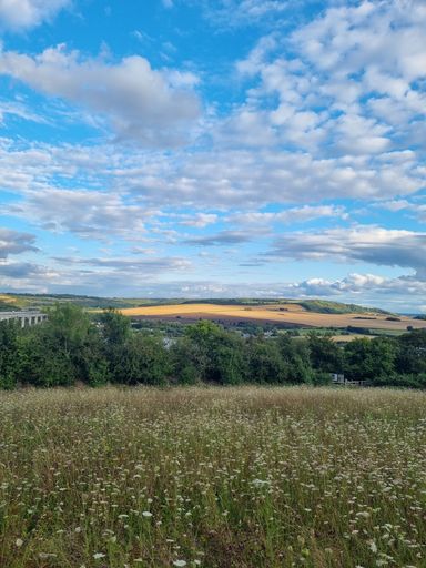 A scenic landscape of a vast field with a cloudy blue sky in the background